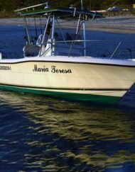 The Maria Teresa. 26" Pursuit Boat. Los Barriles Fishing Charters